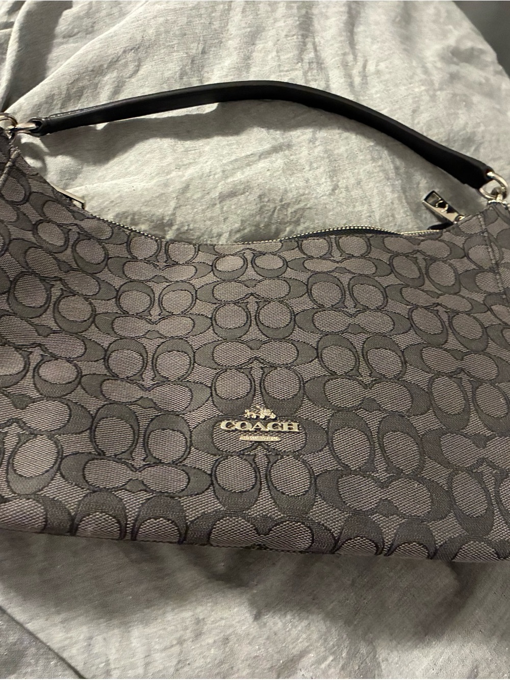 Never Used, No Tags-Coach Hobo Bag
